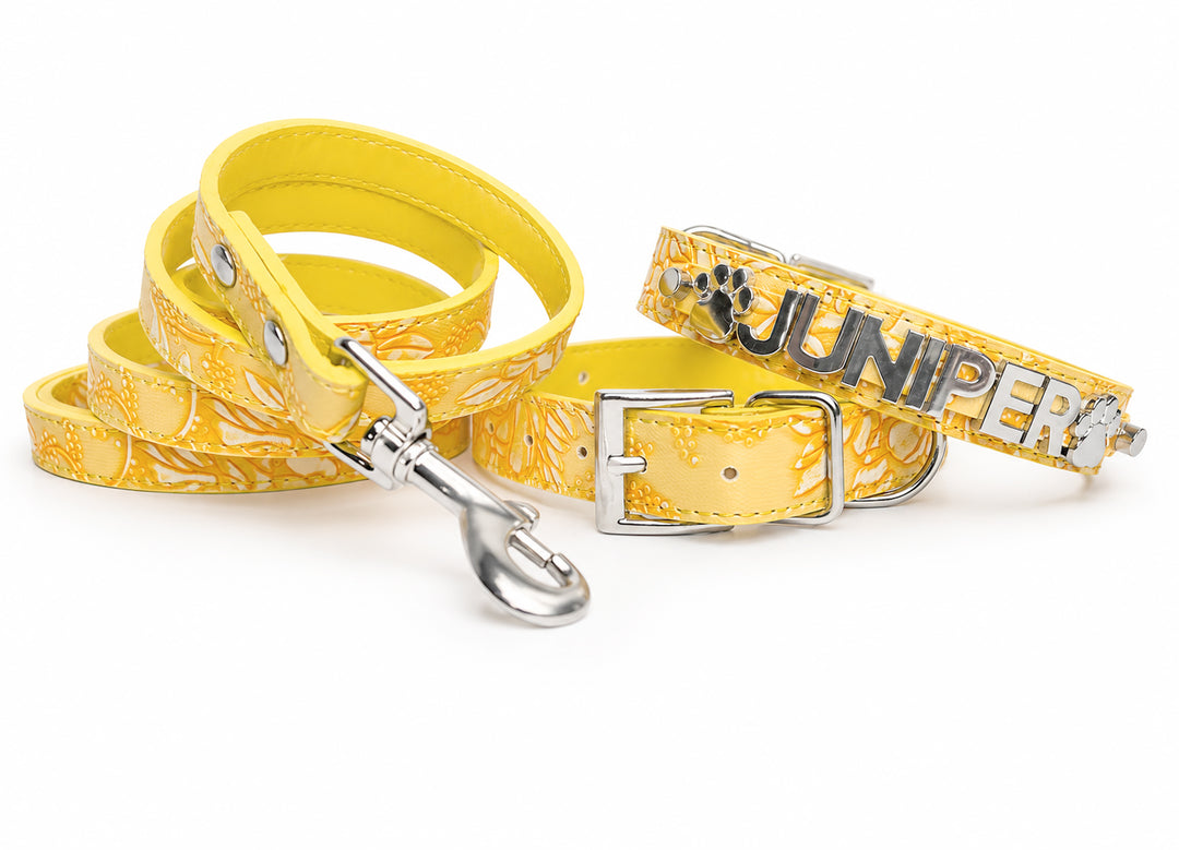 Garden Goldenrod Pet Collar
