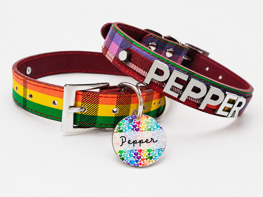 Limited Edition Rainbow Plaid Collar