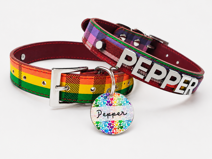 Limited Edition Rainbow Plaid Collar
