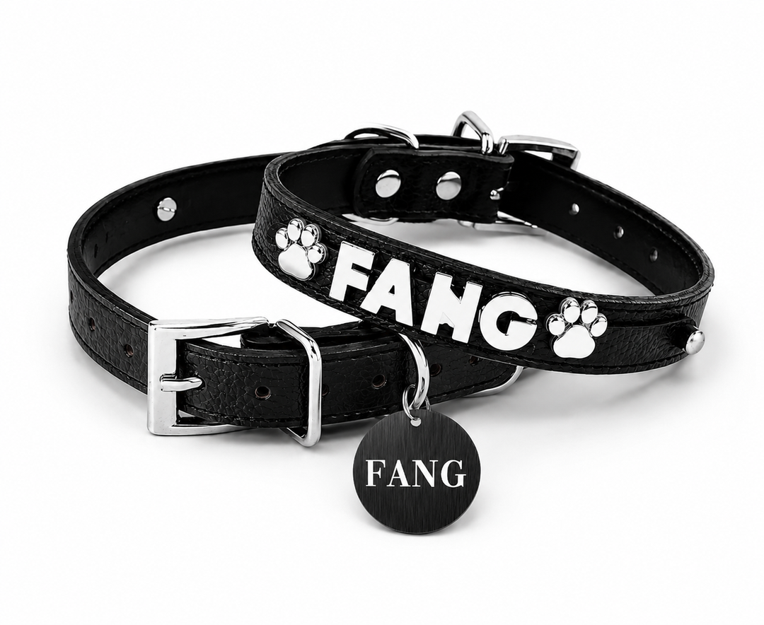 Collar | Black Croc
