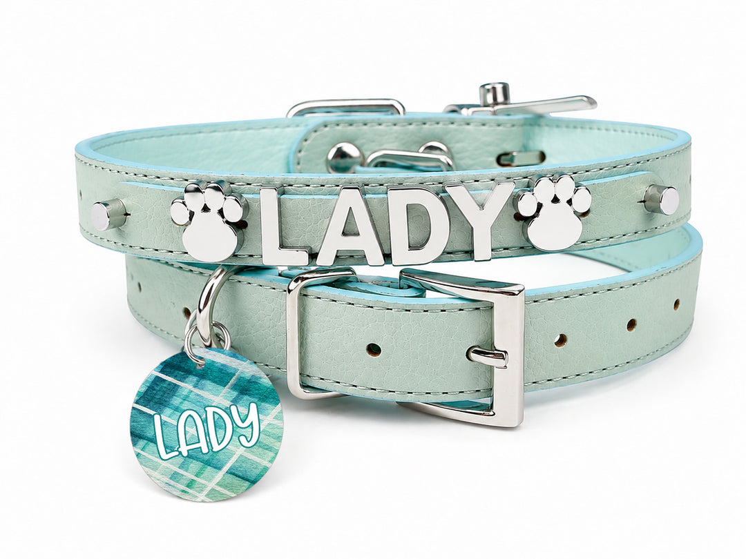 Sniffany Blue Chrome Pet Collar