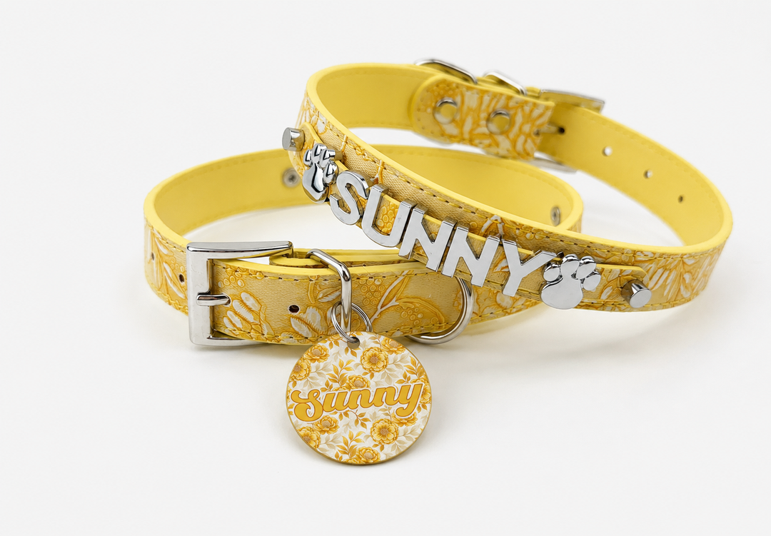 Garden Goldenrod Pet Collar