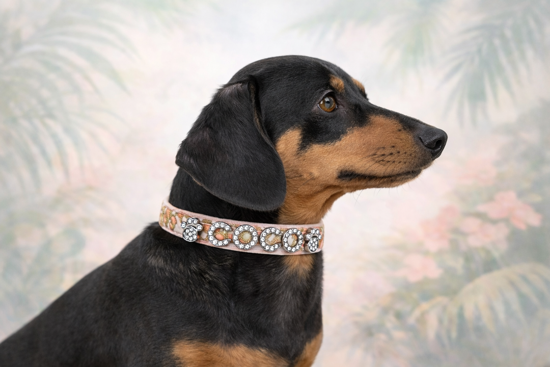 Pink Vanilla Cheetah Personalized Pet Collar