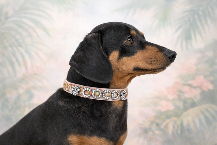 Pink Vanilla Cheetah Personalized Pet Collar