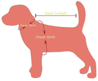 Soft Suedes Pet Collar