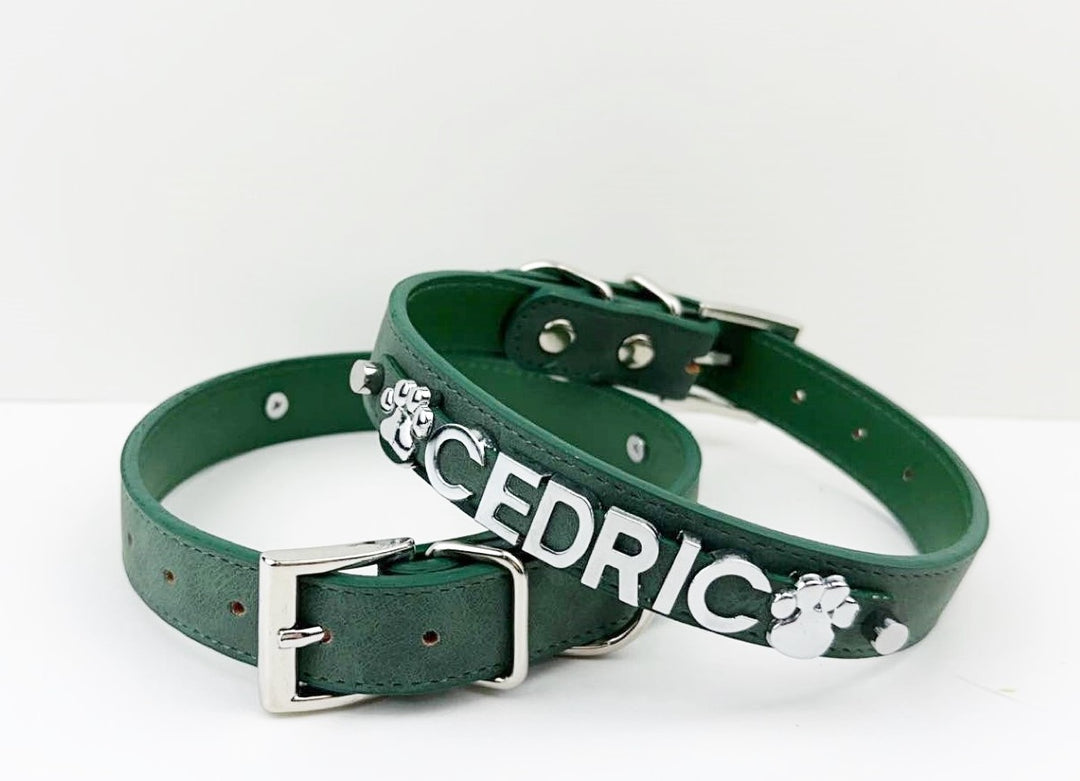 Desert Suedes Pet Collar