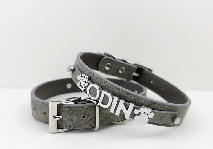 Desert Suedes Pet Collar