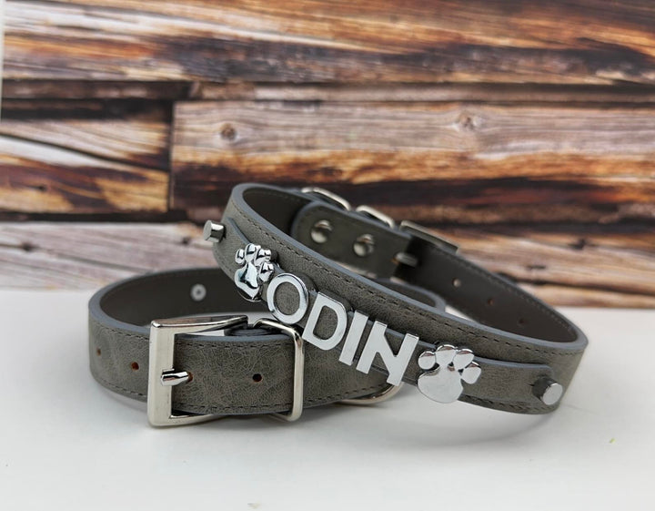 Desert Suedes Pet Collar