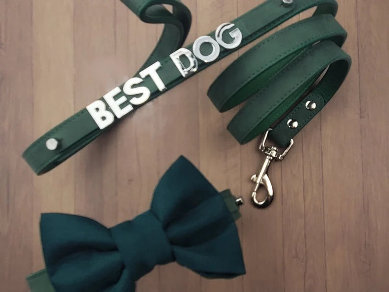 Best Dog Leash Bowtie Collar | Forest Green