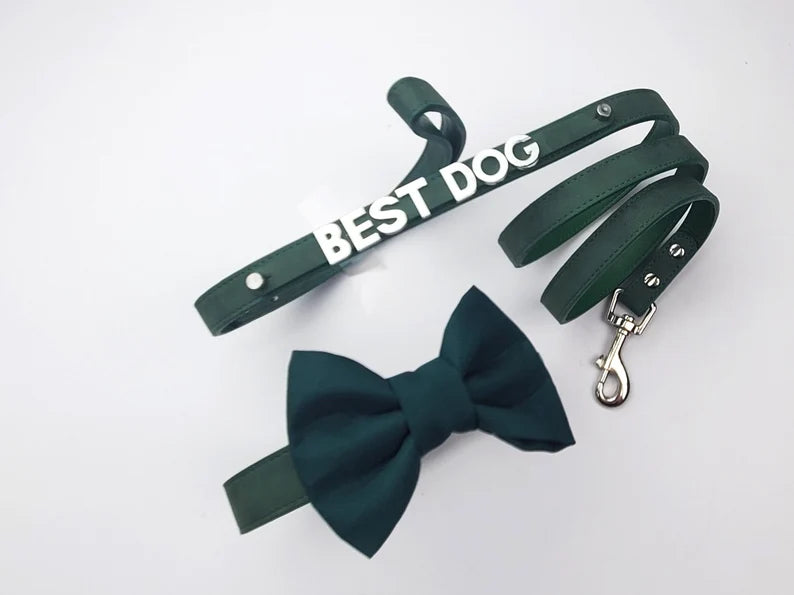 Best Dog Leash Bowtie Collar | Forest Green