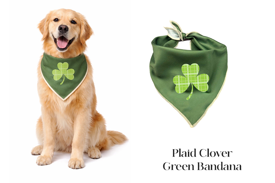 Spring Bandana Bundle | 3 Pack
