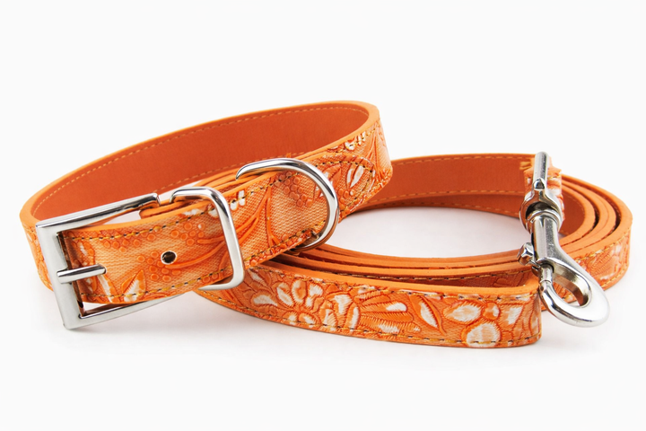 Pumpkin Spice Pet Collar