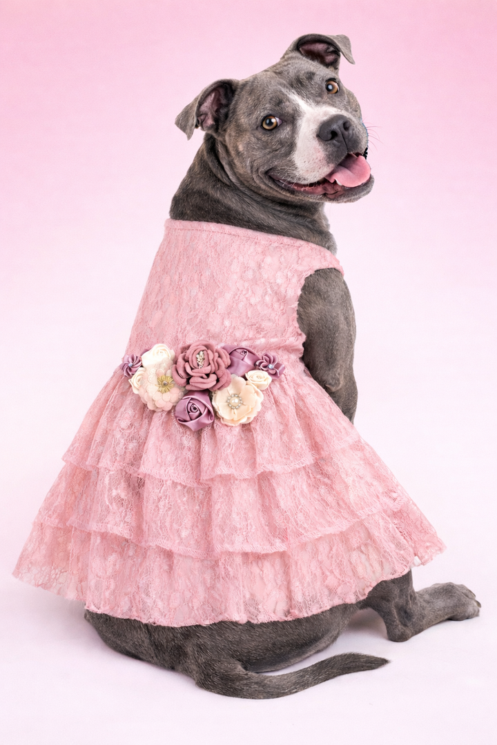 Formal Dog Dress | The Josefina