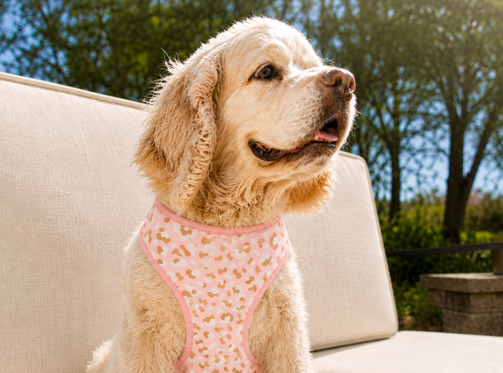 Glam Pink Cheetah | Leopard print pink Adjustable Pet Harness