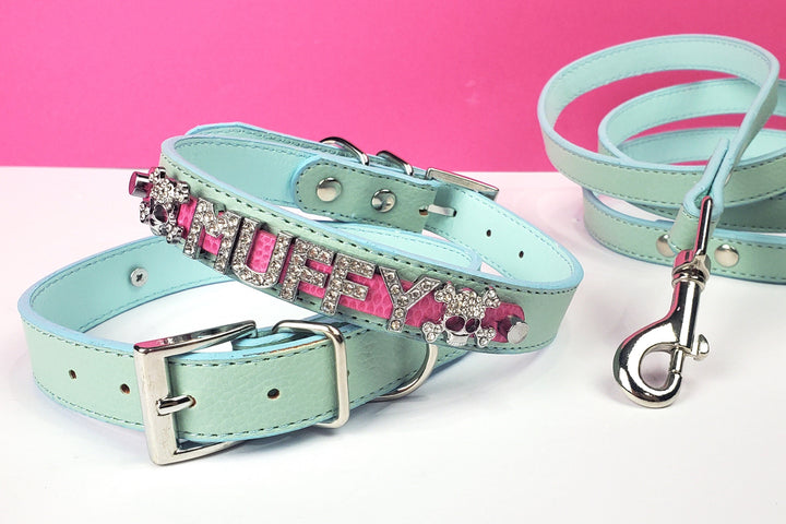 Prissy Pink Skulls Personalized Harness