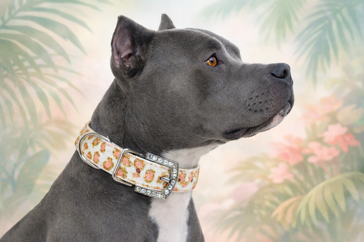 Pink Vanilla Cheetah Personalized Pet Collar