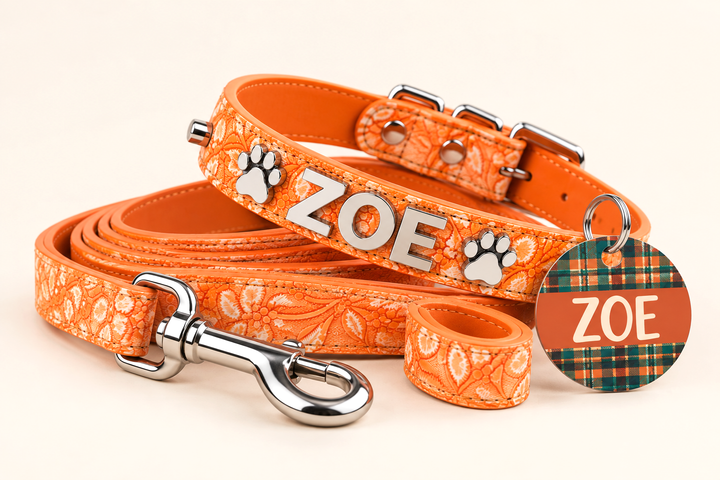Pumpkin Spice Collar - FREE ID Tag with set purchase!