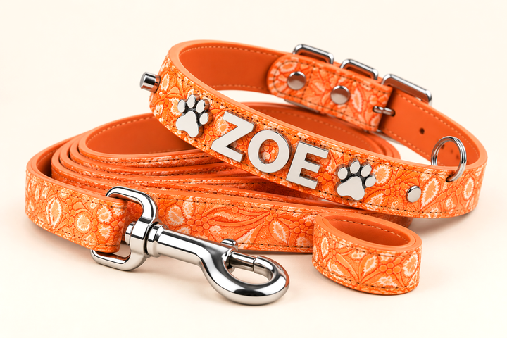 Pumpkin Spice Pet Collar