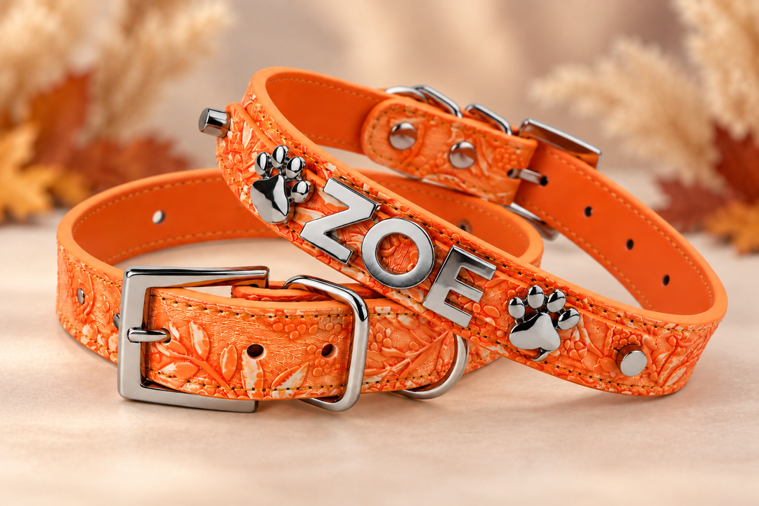 Pumpkin Spice Pet Collar