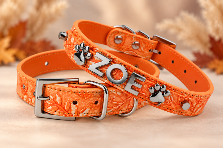 Pumpkin Spice Pet Collar