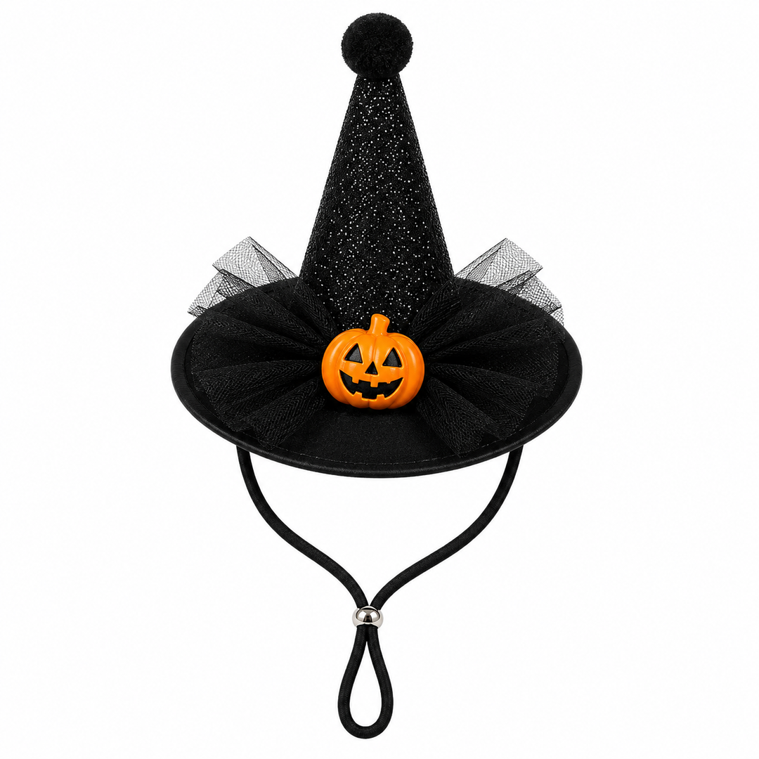 Princess of the Patch Witch Dog Costume