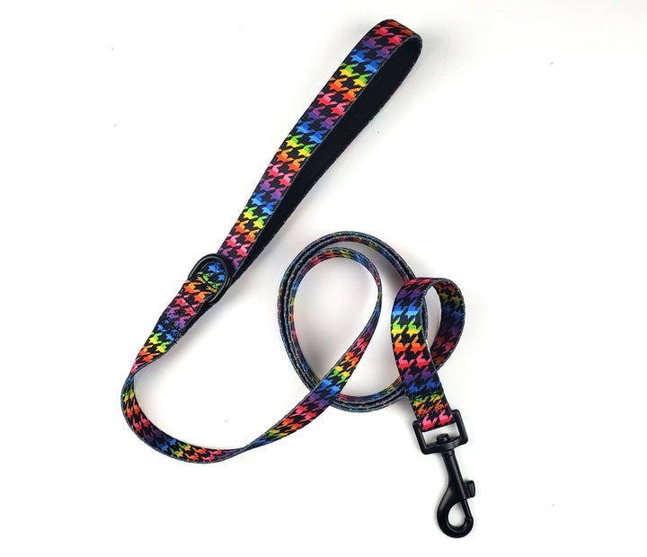 Rad Rainbow Skulls Harness