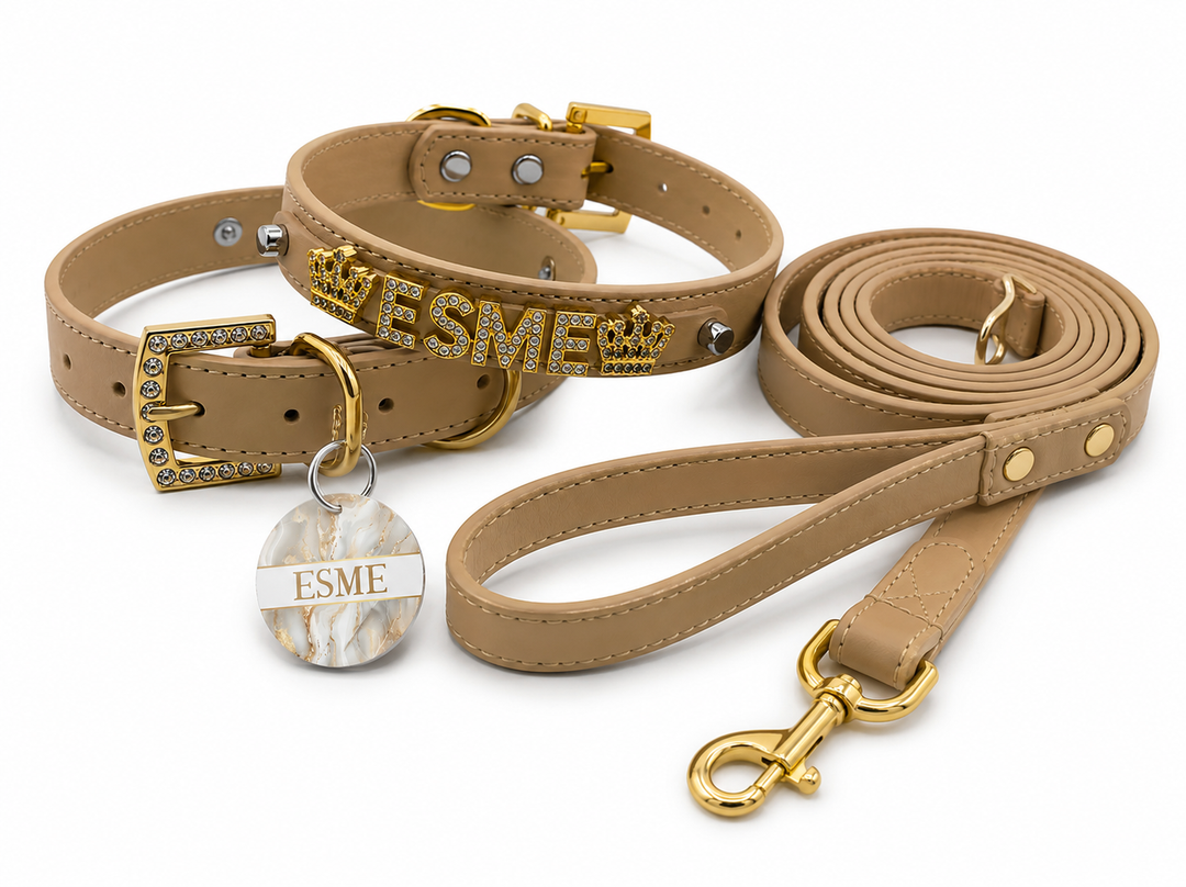 Personalized Collar | Sand and Gold