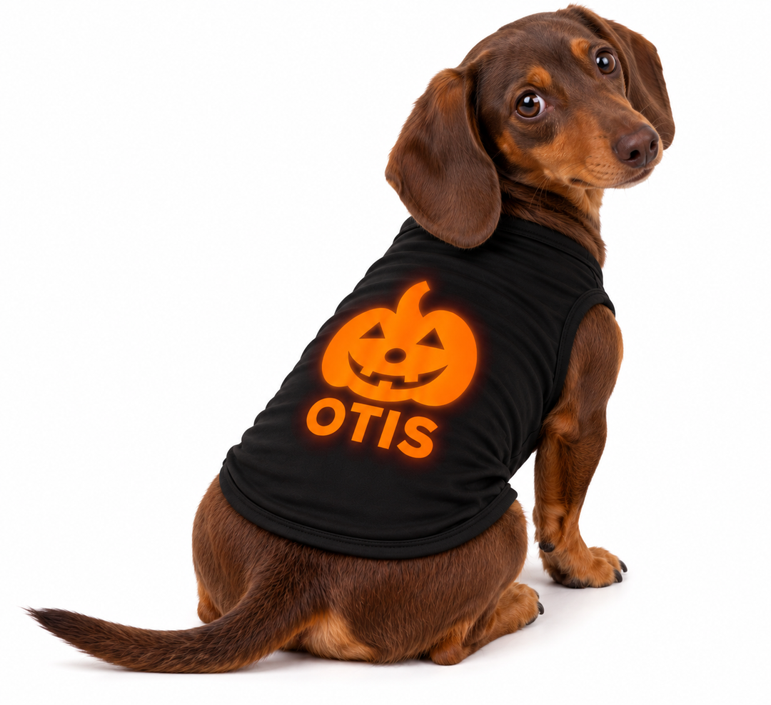 Orange Glow-in-the-Dark Jack-O’-Lantern Pet Tee