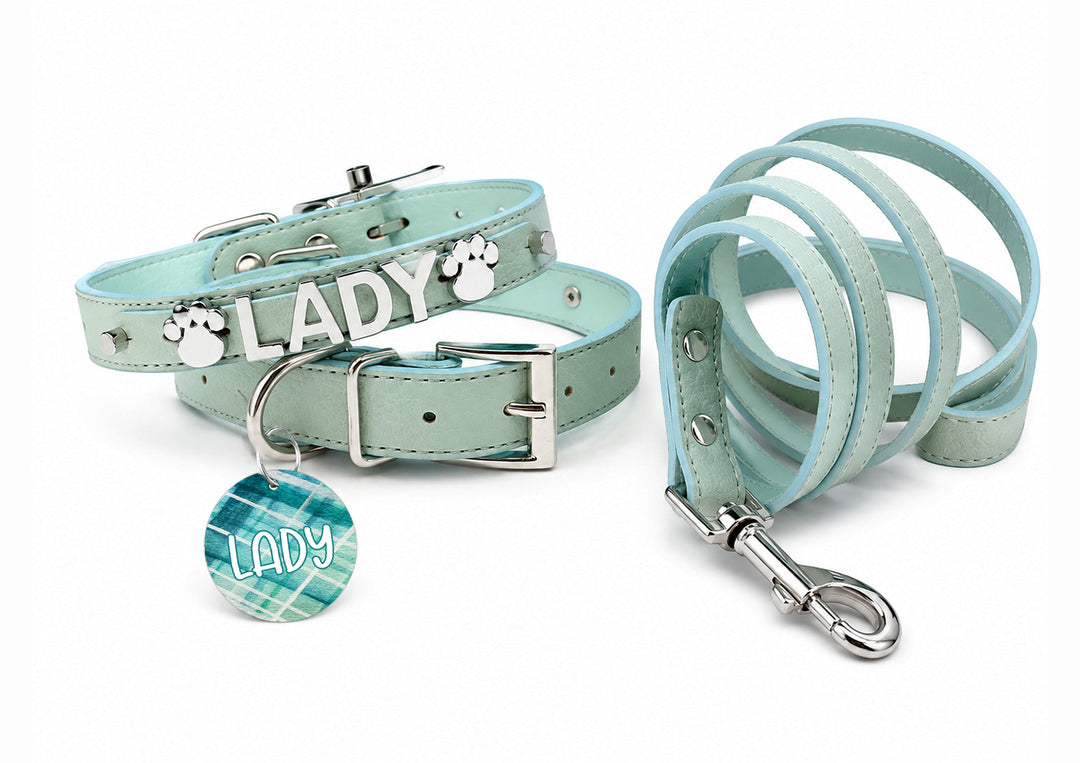 Sniffany Blue Chrome Pet Collar