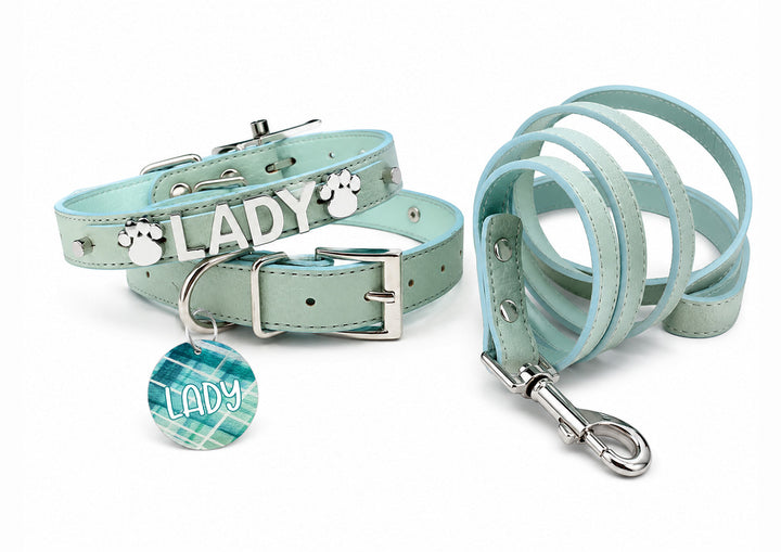 Sniffany Blue Chrome Pet Collar