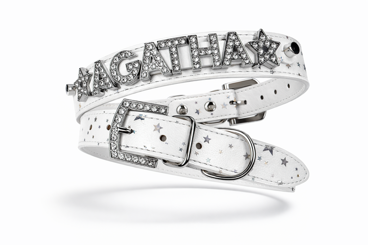 Star Bright Personalized Collar