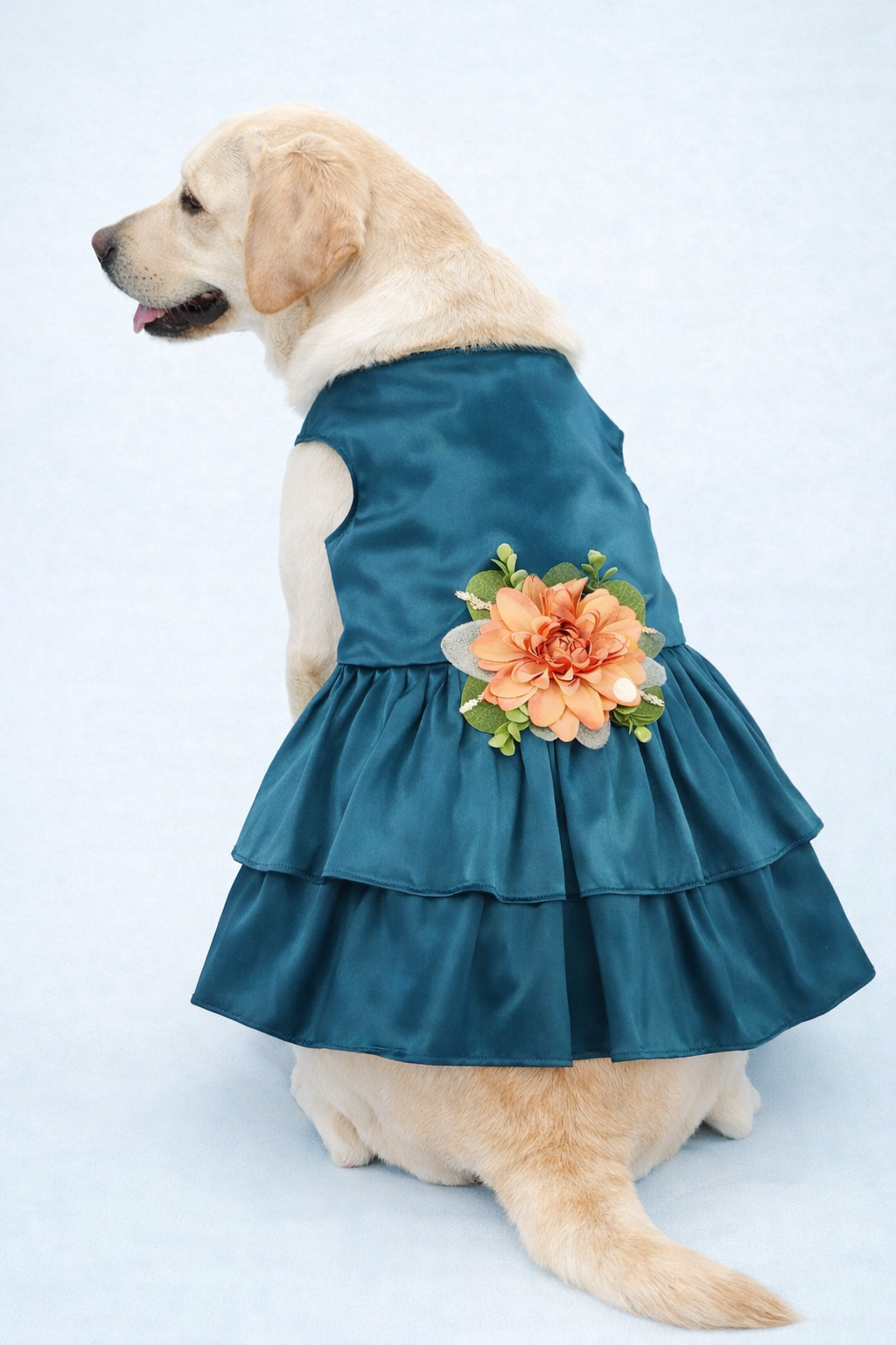 Satin Pet Dress | The Phoebe | 10 Color Options | Peacock Teal