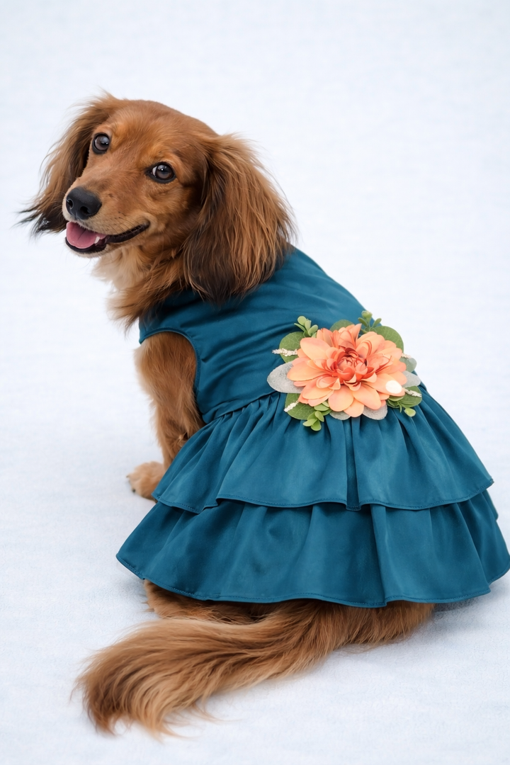 Satin Pet Dress | The Phoebe | 10 Color Options | Peacock Teal
