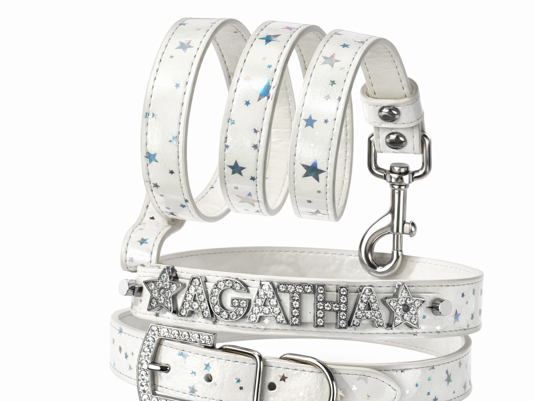 Star Bright Personalized Collar