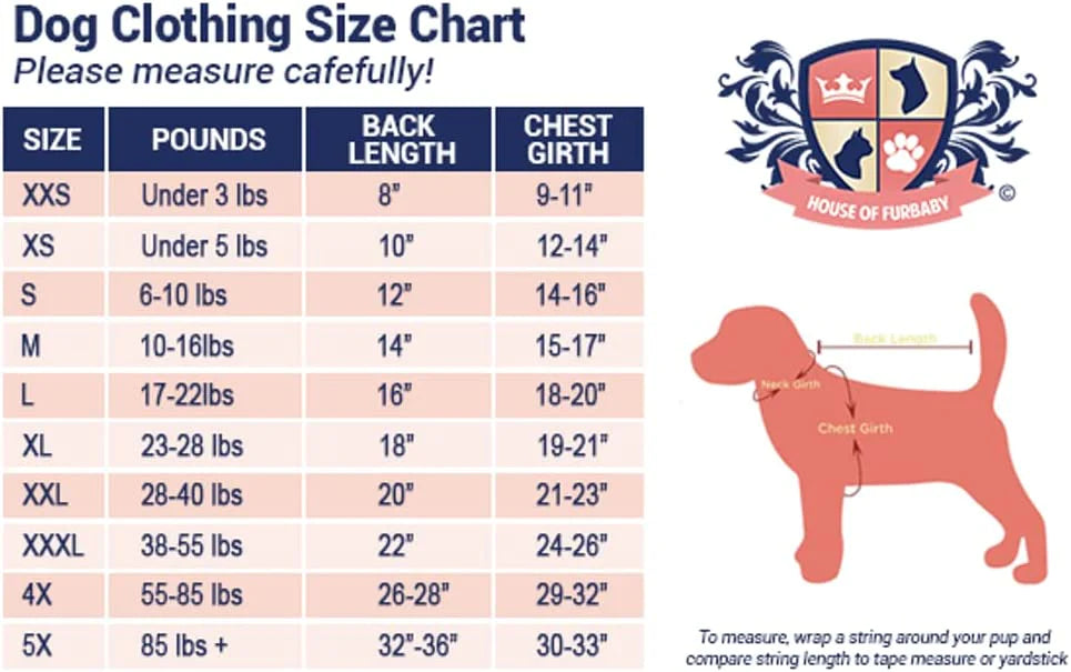 Dog Shirt | Personalized Valentine's Day Love Bug