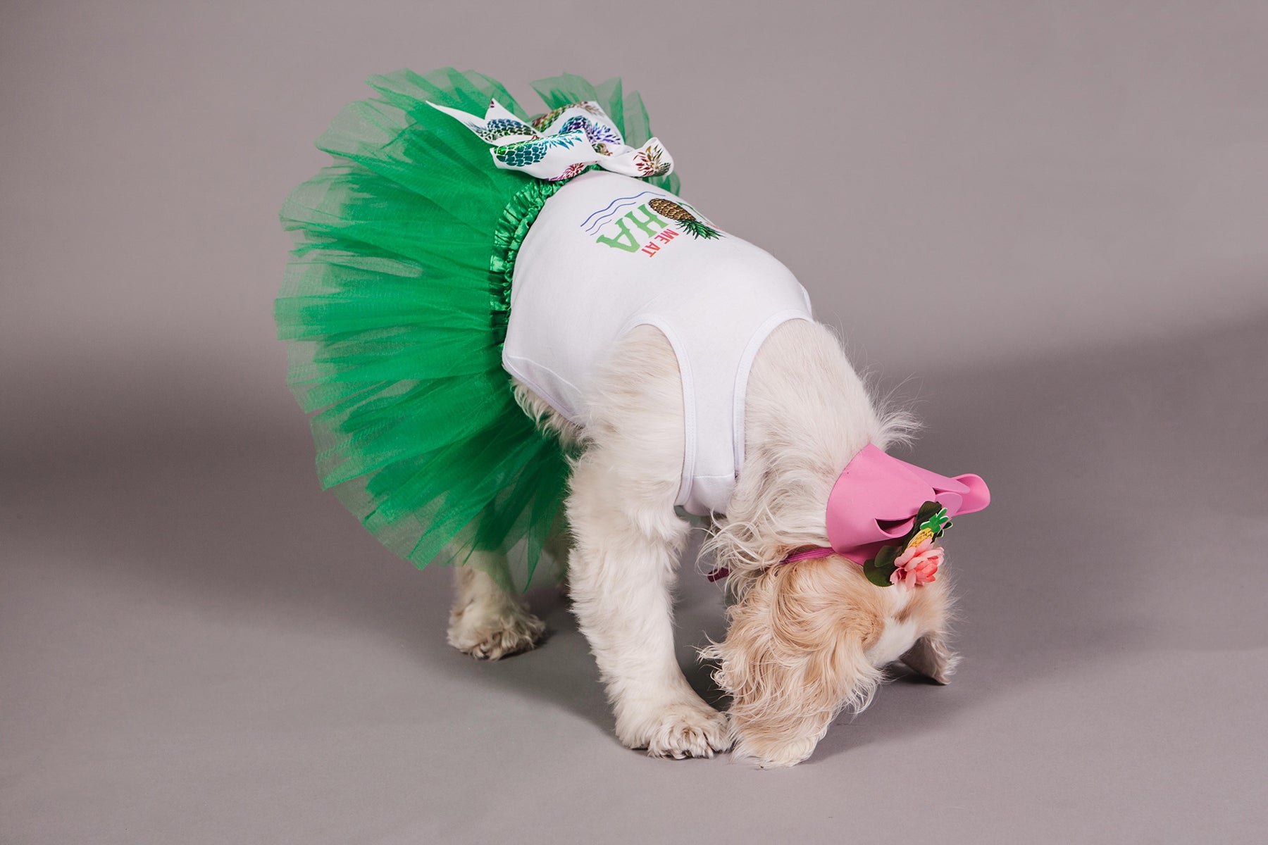 Aloha Gotcha Day Dog Birthday Outfit