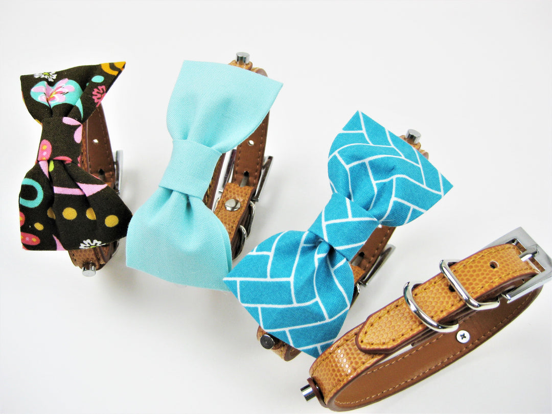 Bowtie Collar | Fauna Florence