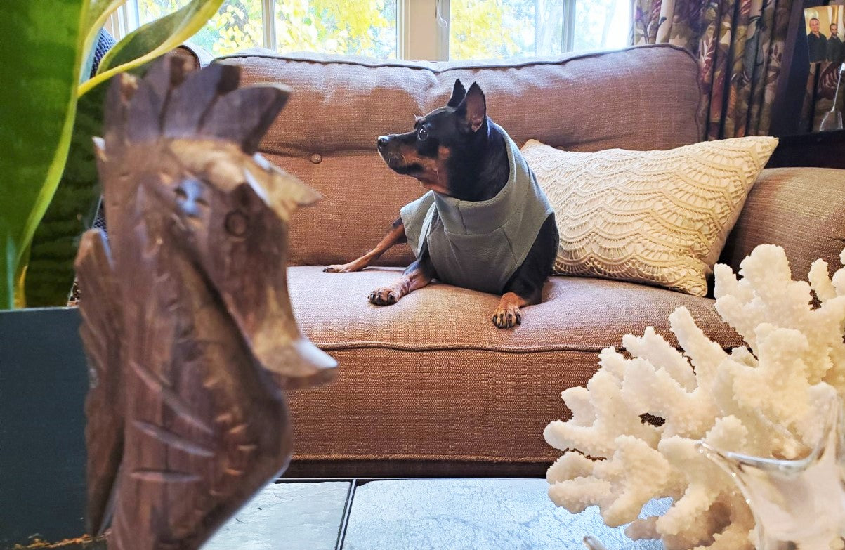 Snuggly Fleece | Sea Monster Green