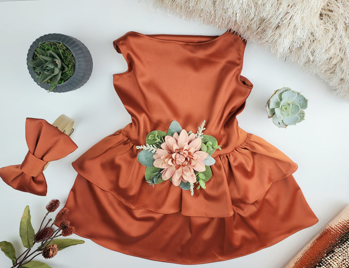 Terra Cotta Satin Dog Dress | The Bobbie