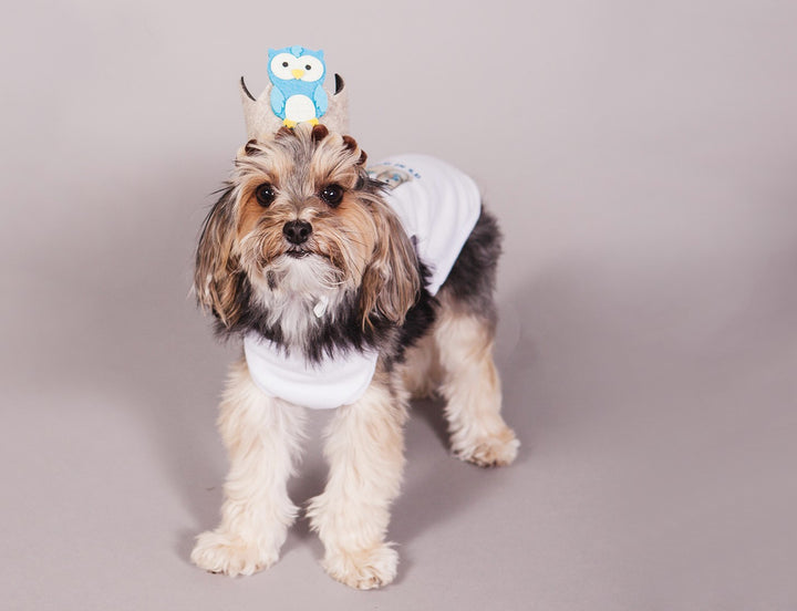 Woodlands Gotcha Day Dog Birthday Outfit