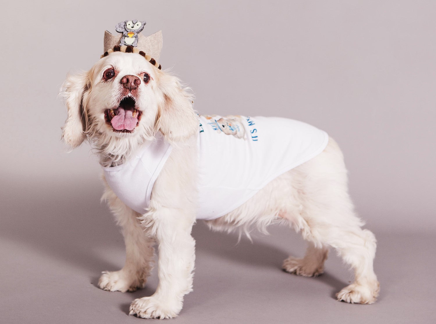 Woodlands Gotcha Day Dog Birthday Outfit