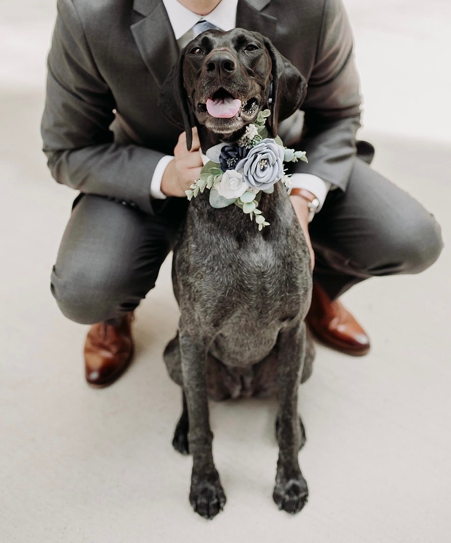 Succulent Wedding Collar | Dusty Blue and Navy