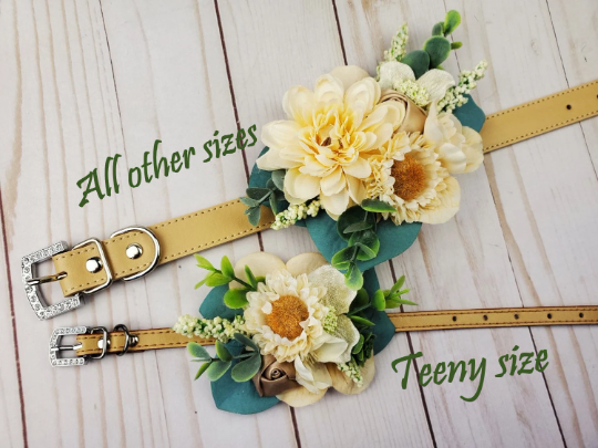 Succulent Wedding Collar | The Fairy Garden