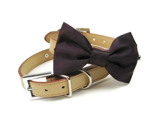 Bowtie Collar | Raisin Plum