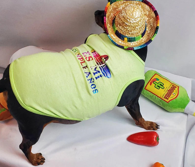 Birthday Party Package | Feliz Cumpleanos