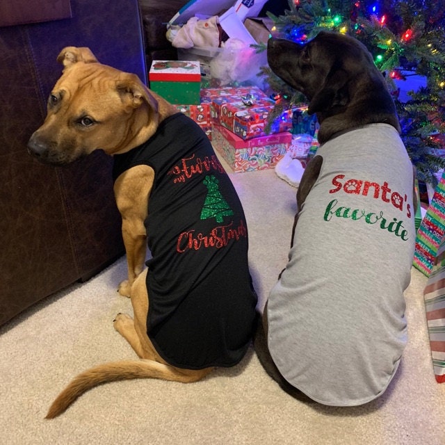 Holiday Dog Shirt | Santa's Favorite