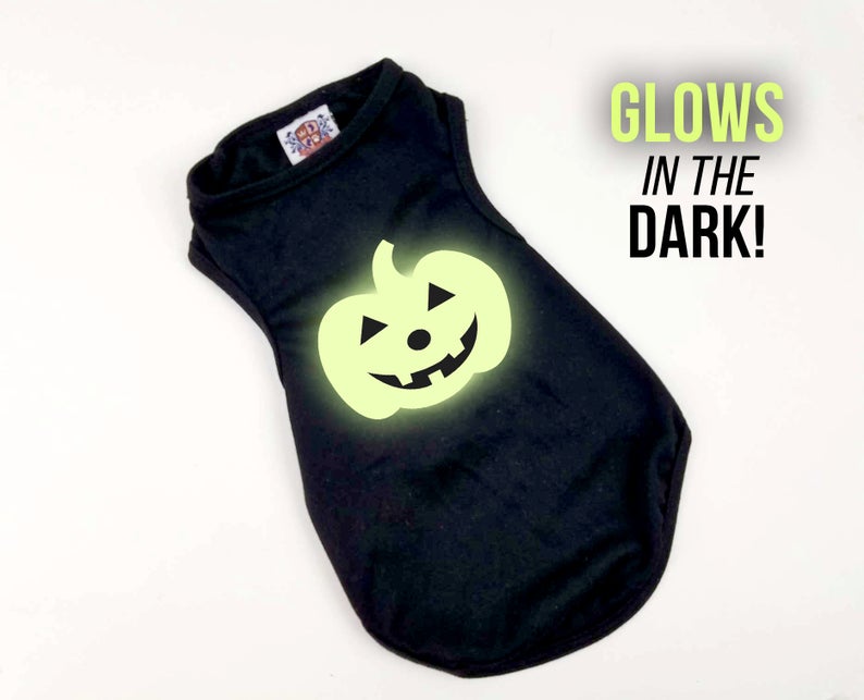 Halloween Dog Shirt | Glow In The Dark Pumpkin