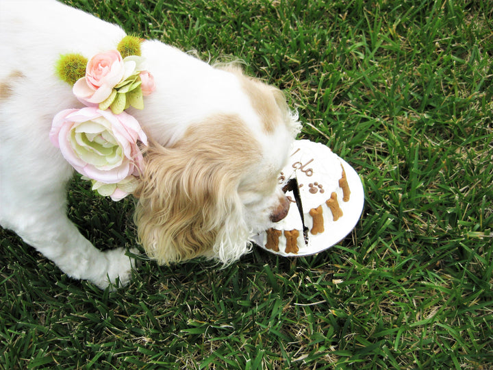 Wedding Cake | I DO TOO