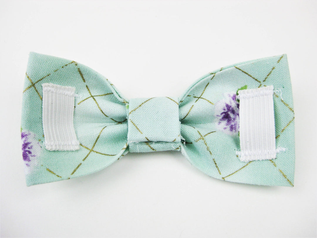 Bowtie Collar | Candy Cane