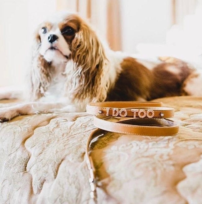 Wedding Dog Leash | Beige & Ivory with Rose Gold